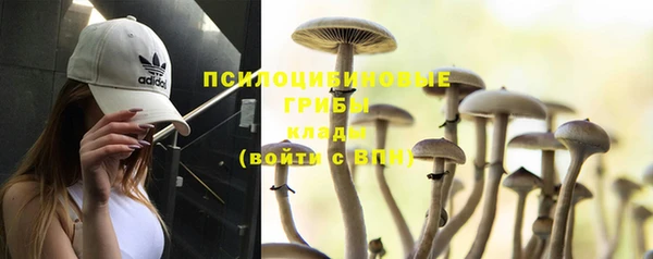 соль ск Богородицк