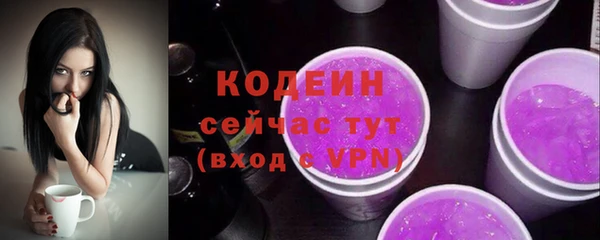 соль ск Богородицк