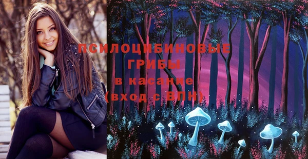 мдма Богданович