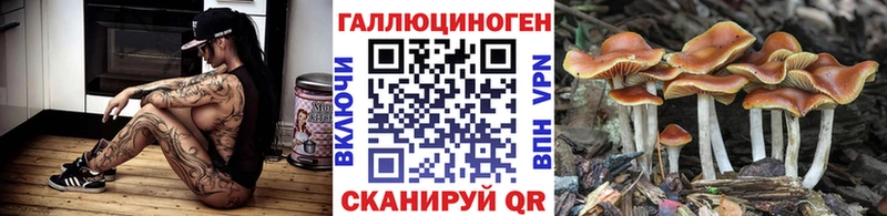 blacksprut сайт  Минеральные Воды  Псилоцибиновые грибы Magic Shrooms 